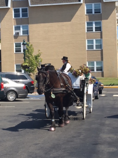 horse-and-buggy-cape-may